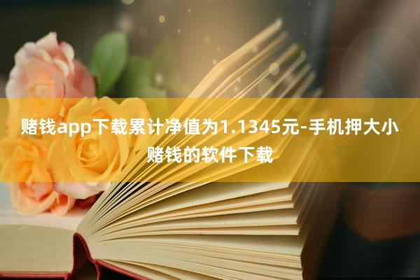 赌钱app下载累计净值为1.1345元-手机押大小赌钱的软件下载