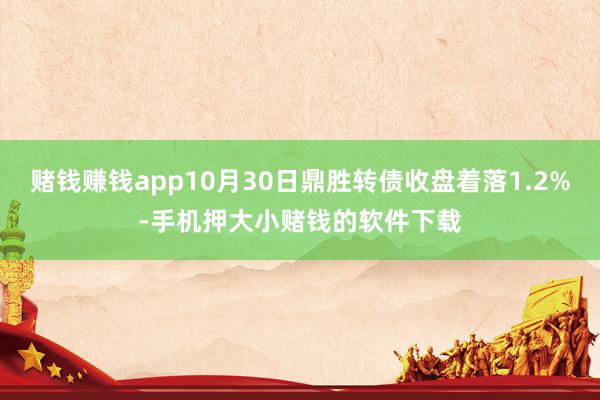 赌钱赚钱app10月30日鼎胜转债收盘着落1.2%-手机押大小赌钱的软件下载