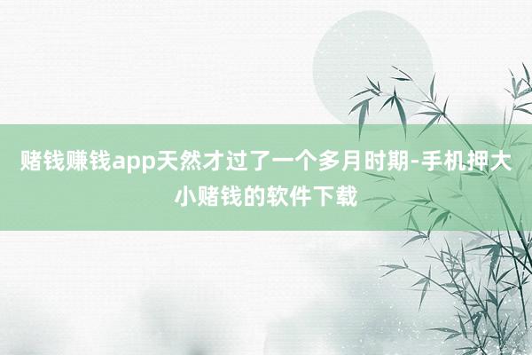 赌钱赚钱app天然才过了一个多月时期-手机押大小赌钱的软件下载