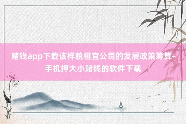 赌钱app下载　　该样貌相宜公司的发展政策筹算-手机押大小赌钱的软件下载