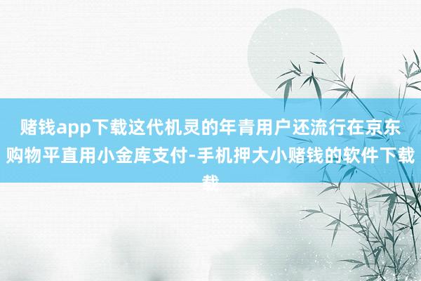 赌钱app下载这代机灵的年青用户还流行在京东购物平直用小金库支付-手机押大小赌钱的软件下载