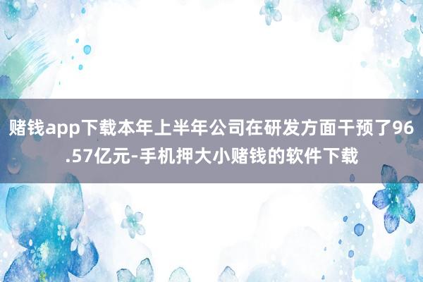 赌钱app下载本年上半年公司在研发方面干预了96.57亿元-手机押大小赌钱的软件下载