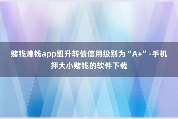 赌钱赚钱app盟升转债信用级别为“A+”-手机押大小赌钱的软件下载