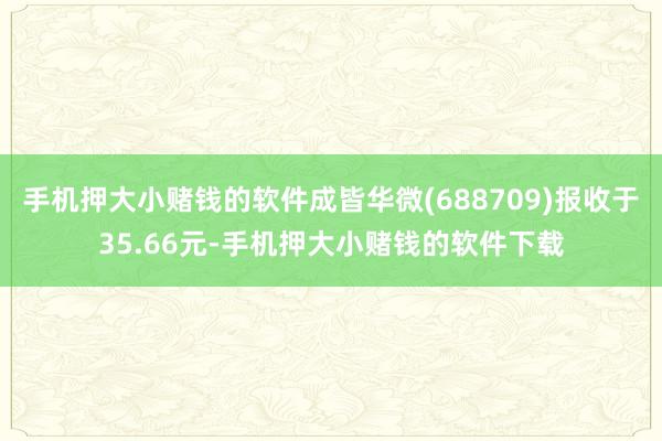 手机押大小赌钱的软件成皆华微(688709)报收于35.66元-手机押大小赌钱的软件下载